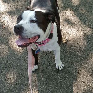 Meet your Posher, Sherrychuck